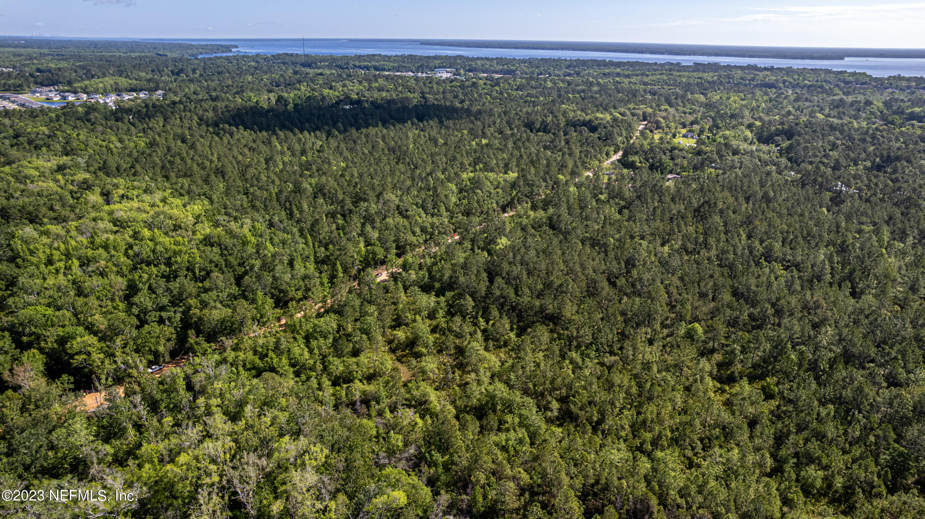 0 Shedd Road Green Cove Springs, FL 32043 - Photo 19 of 20 a view of a lush green forest with trees and some houses