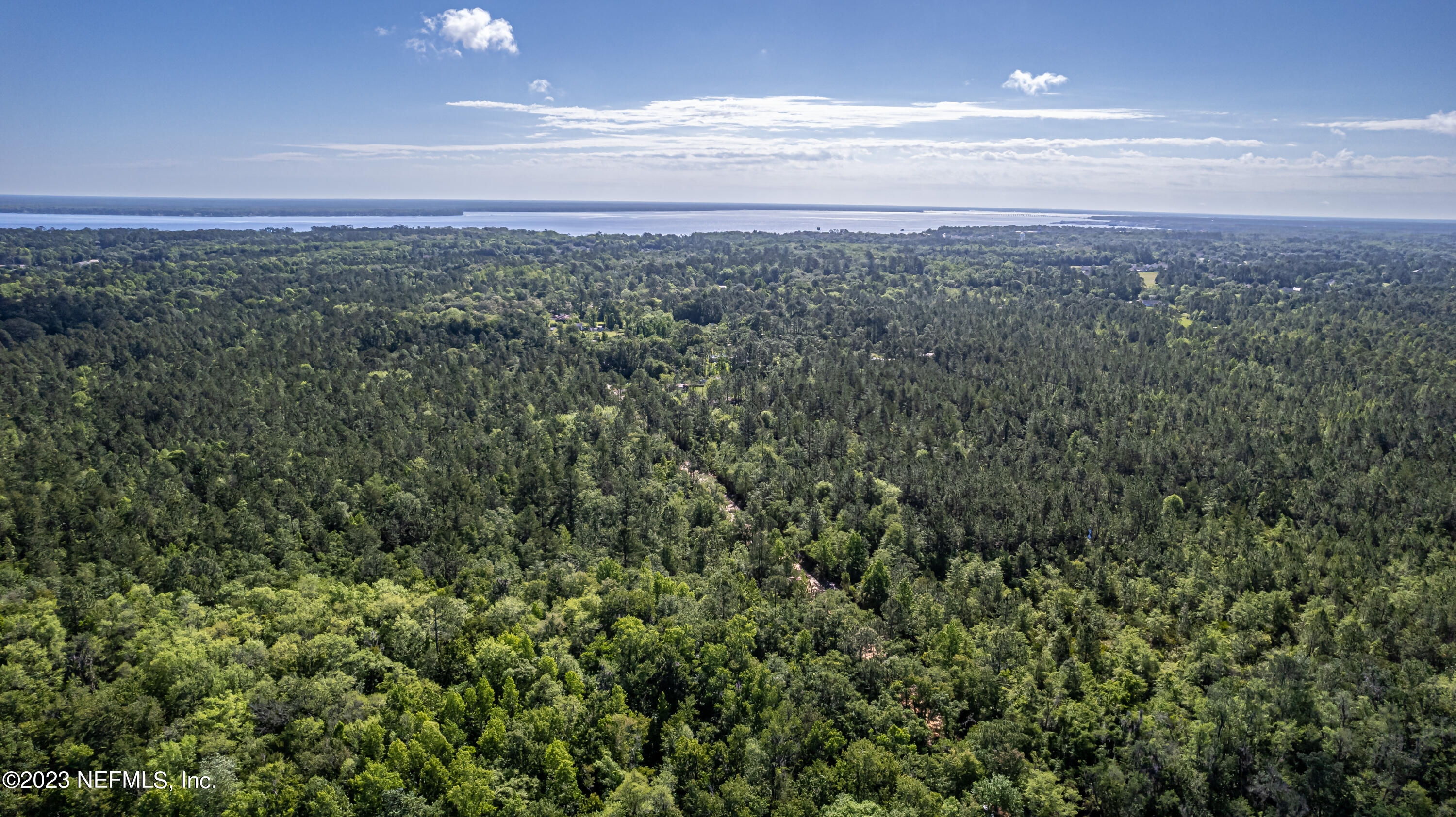 0 Shedd Road Green Cove Springs, FL 32043 - Photo 20 of 20 a view of a big yard with lots of green space
