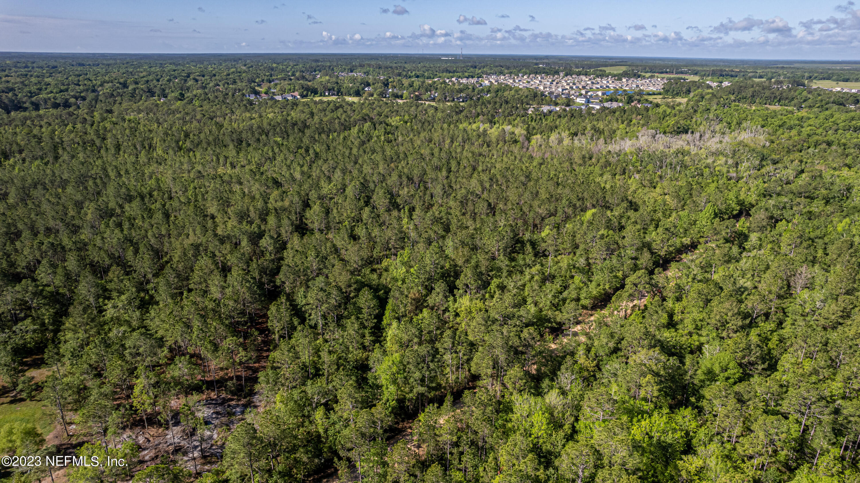 0 Shedd Road Green Cove Springs, FL 32043 - Photo 2 of 20 a view of a green field