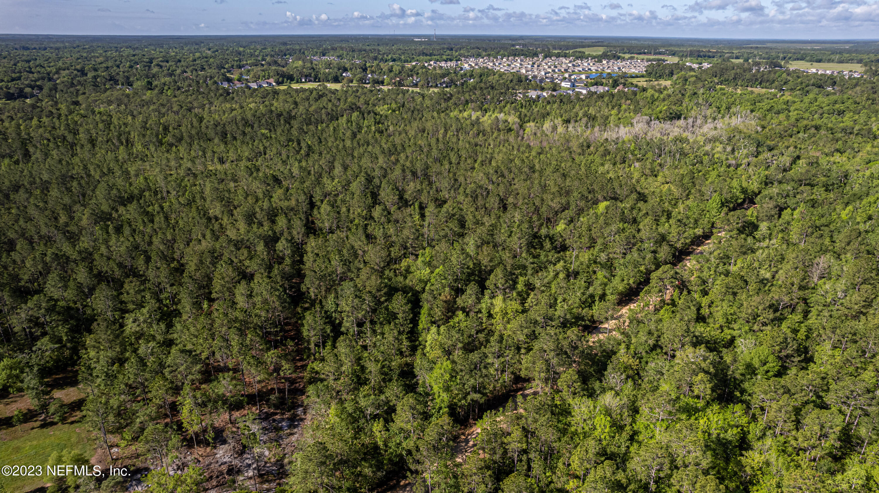 0 Shedd Road Green Cove Springs, FL 32043 - Photo 3 of 20 a view of a yard with an outdoor space