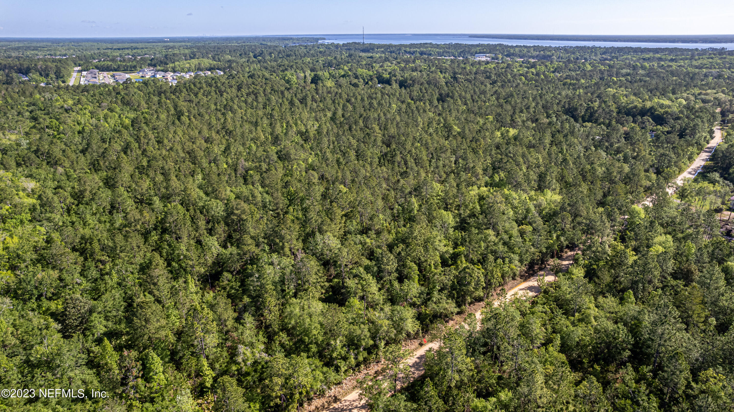 0 Shedd Road Green Cove Springs, FL 32043 - Photo 6 of 20 a view of a green field with lots of bushes