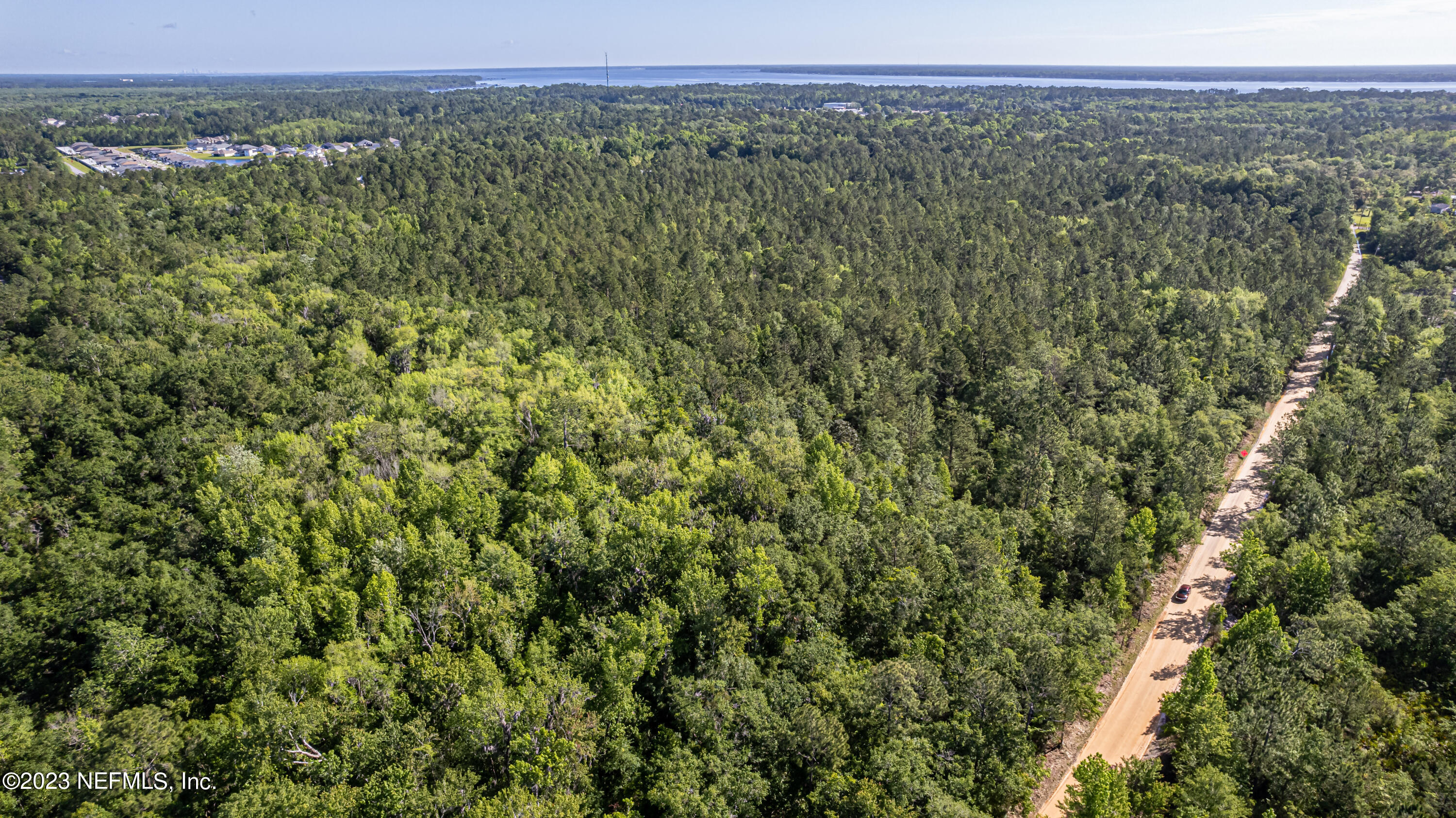 0 Shedd Road Green Cove Springs, FL 32043 - Photo 7 of 20 a view of a green field with lots of bushes