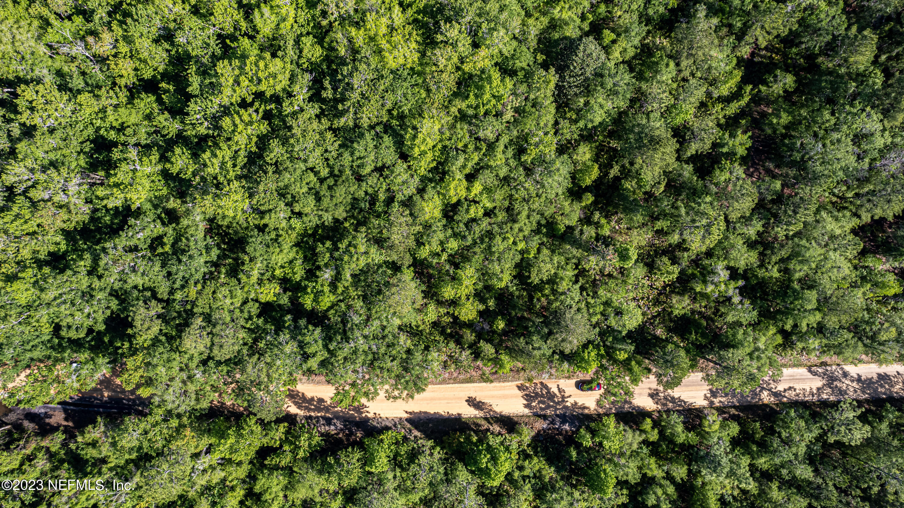 0 Shedd Road Green Cove Springs, FL 32043 - Photo 8 of 20 a view of a lush green forest