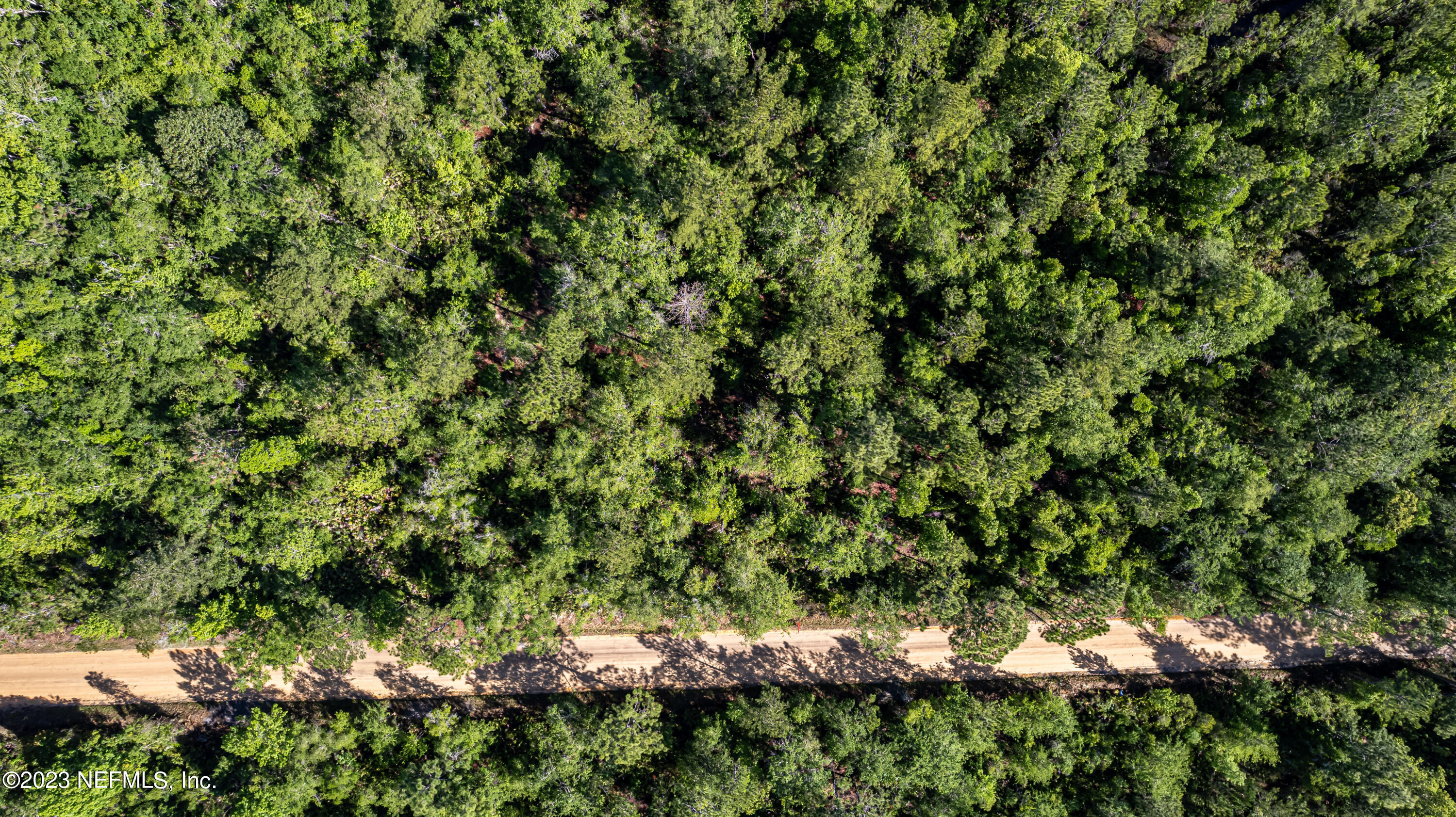 0 Shedd Road Green Cove Springs, FL 32043 - Photo 9 of 20