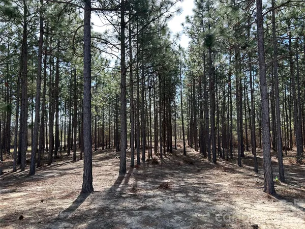 $218,000 | 1266 State Rd S-28-799, Kershaw, SC 29067