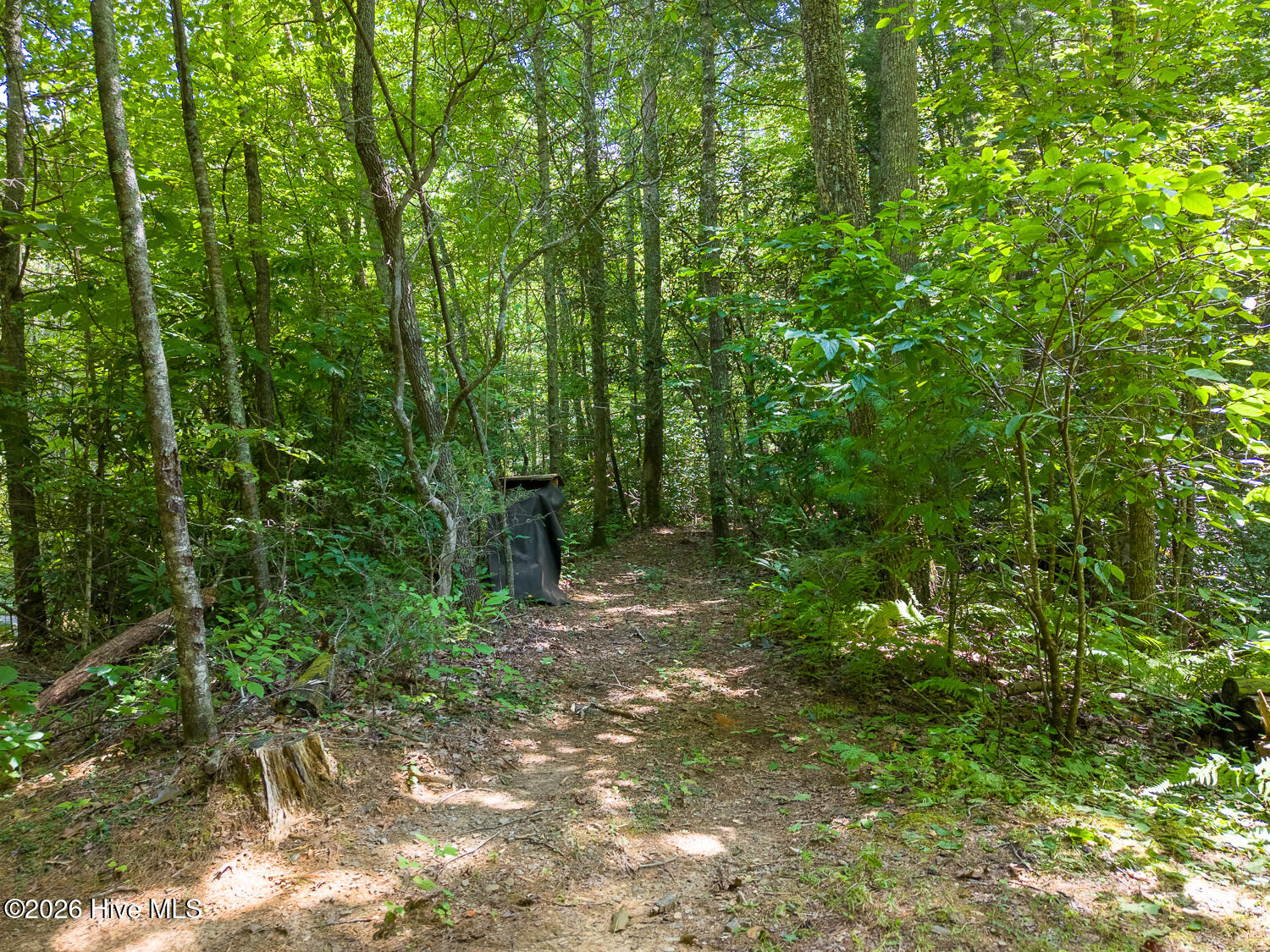 314 Carringer Road Robbinsville, NC 28771 - Photo 42 of 46 Gallery Image 42