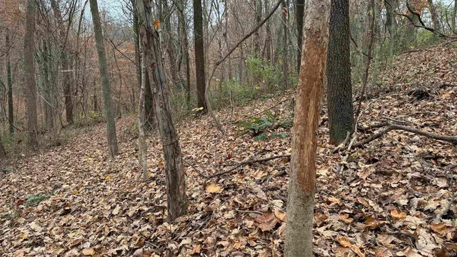 $8,258,008 | 164 East E Road, Jasper, IN 47546