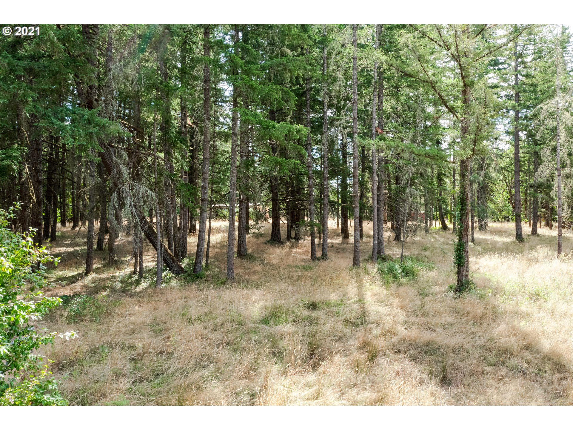 26174 Fleck Road Veneta, OR 97487 - Photo 12 of 13 Gallery Image 12