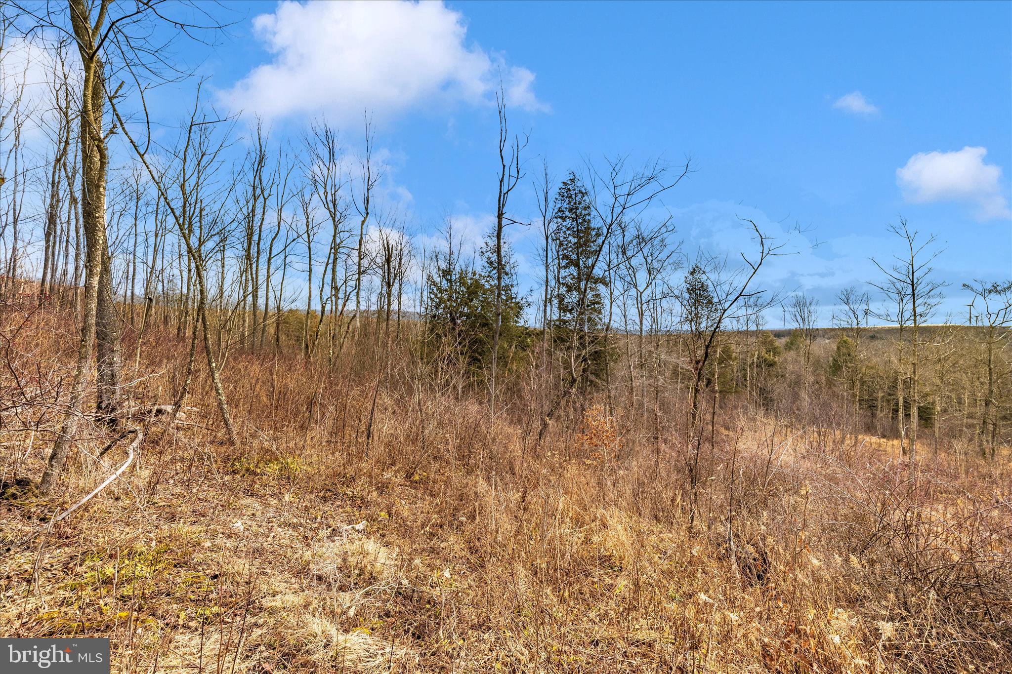 0 Mountain Road Lilly, PA 15938 - Photo 24 of 34 F05A9225