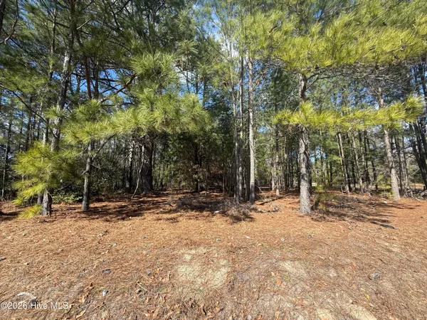 $19,900 | Tbd Mizpah Road, Rockingham, NC 28379