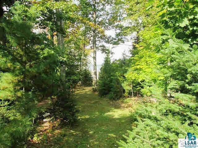 8125 East Tri Lakes Road Superior, WI 54880 - Photo 9 of 43 Tree Privacy