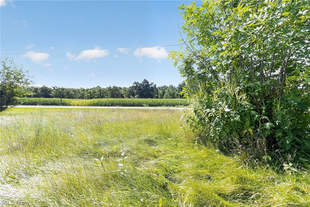 8240 Spencerville Road Spencerville, OH 45887 - Photo 5 of 11 Just more than a half acre.