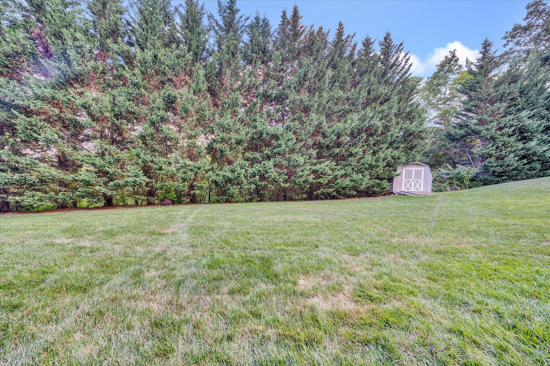 1408 Fieldgate Road Salem, VA 24153 - Photo 40 of 47 40-DSC00112