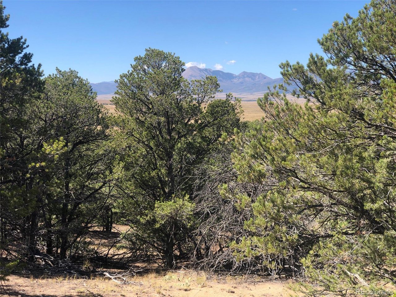 64 River Ridge Trail Walsenburg, CO 81089 - Photo 14 of 30 Gallery Image 14