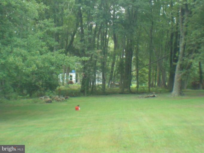 21929 Newtowne Neck Road Leonardtown, MD 20650 - Photo 4 of 10 Back yard