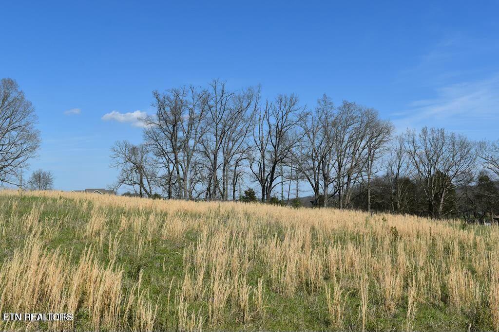 Lot 17 Temple Road Seymour, TN 37865 - Photo 1 of 1 tempImagewSXzVf