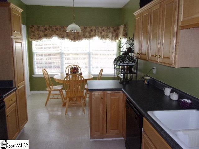 205 Canvasback Way Easley, SC 29642 - Photo 8 of 20 Gallery Image 8