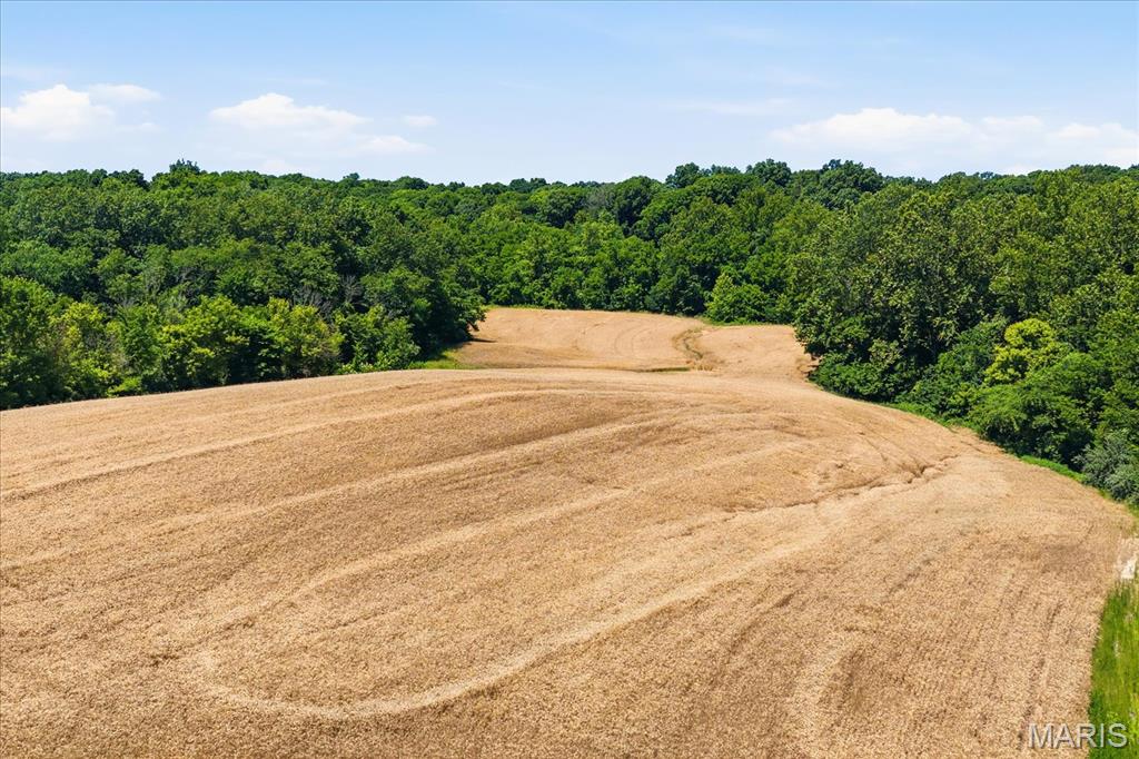 X Pine Crest Road Red Bud, IL 62278 - Photo 4 of 17