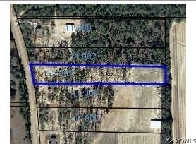 1050 Power Dam Road Newton, AL 36352 - Photo 2 of 2 Gallery Image 2