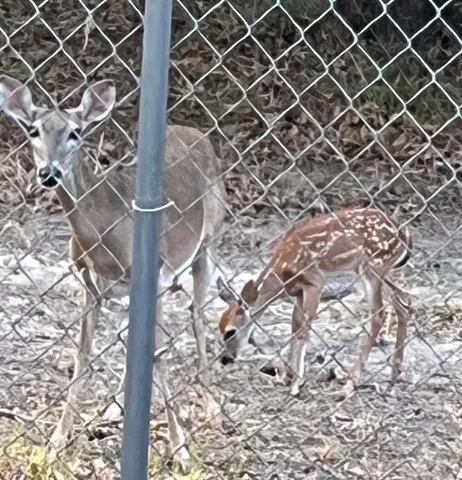 $255,000 | 328 Comanche Trail, West Tawakoni, TX 75474