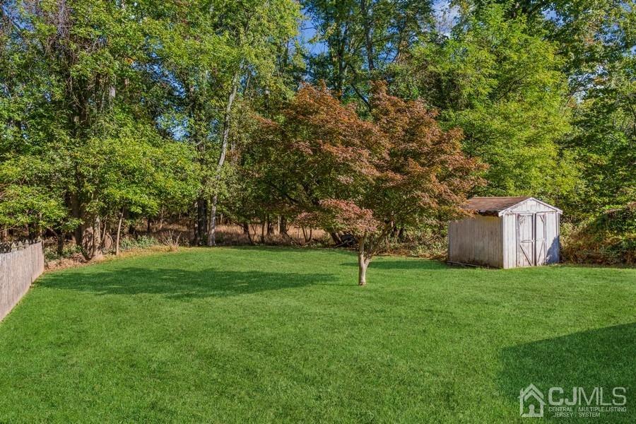 12 New Street Middlesex, NJ 08846 - Photo 20 of 20 a view of a tree in a yard