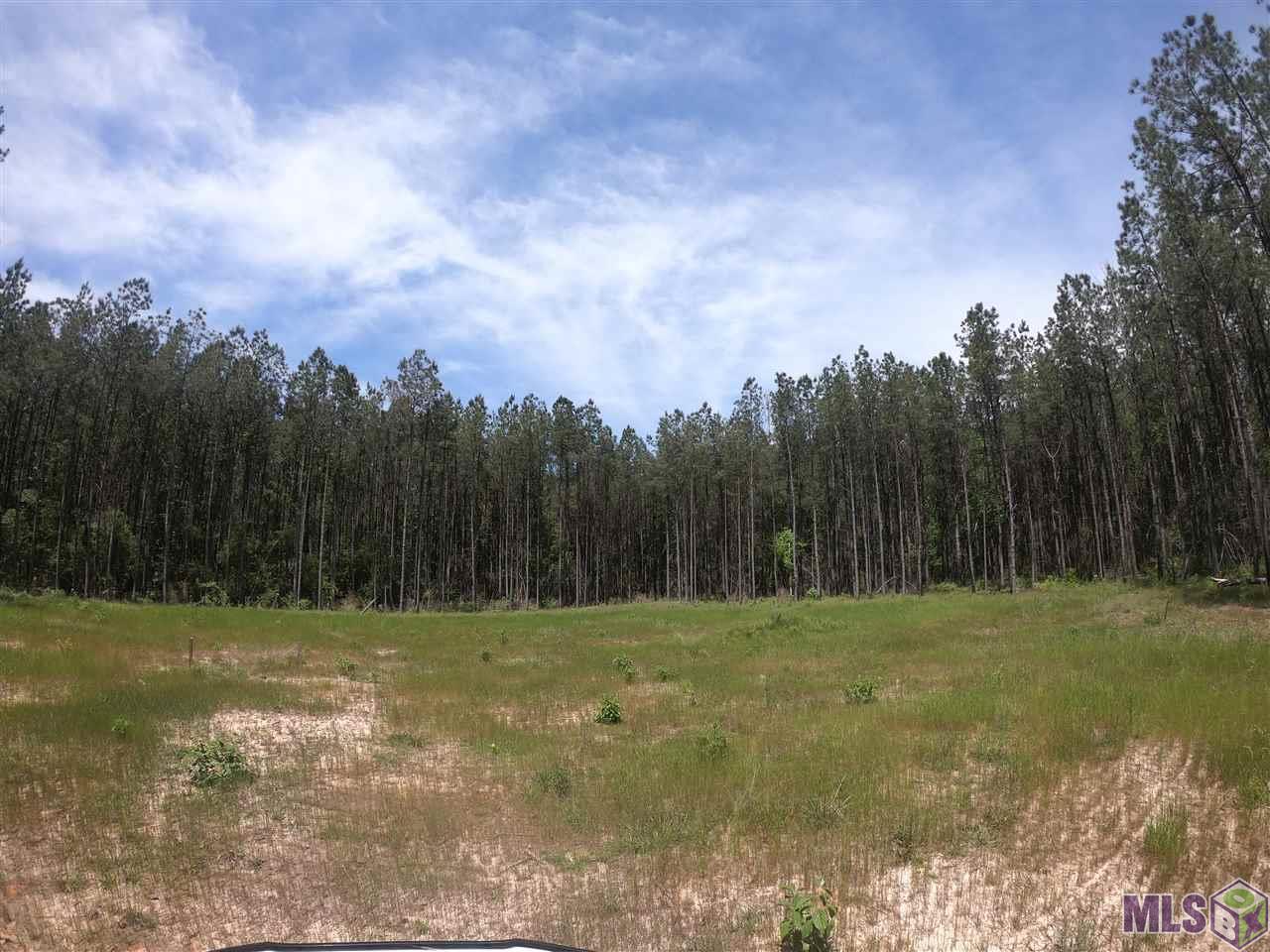 5270 Rattlesnake Road Clinton, LA 70722 - Photo 1 of 6 Clearing for House