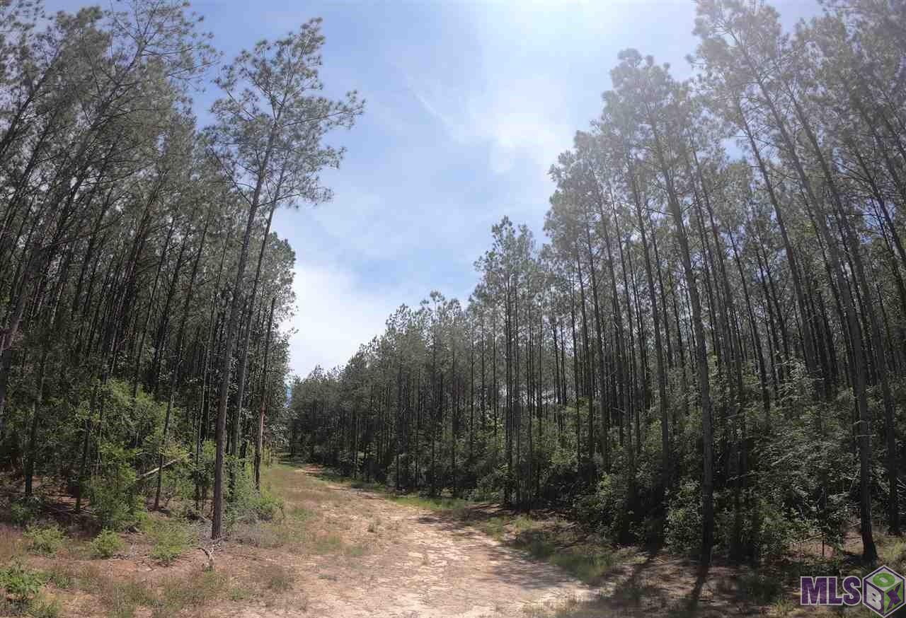 5270 Rattlesnake Road Clinton, LA 70722 - Photo 3 of 6 Driveway