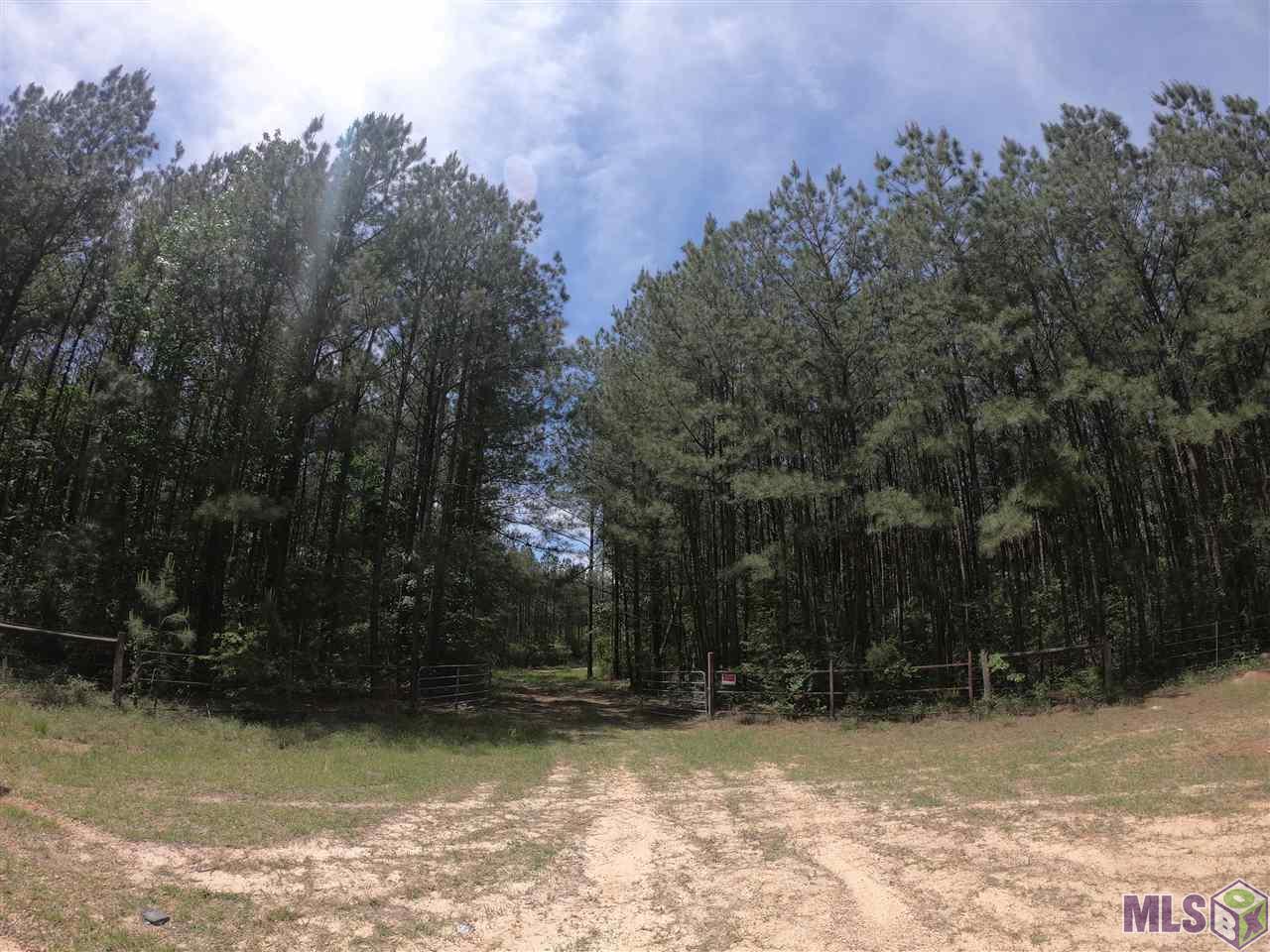 5270 Rattlesnake Road Clinton, LA 70722 - Photo 6 of 6 Right of Way for Power