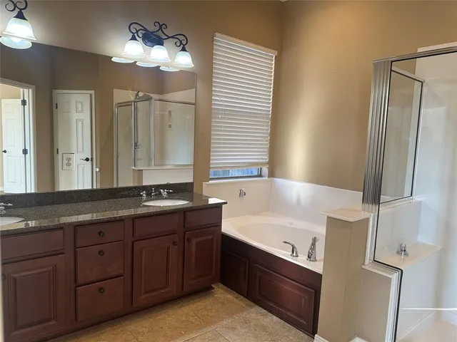 a bathroom with a tub a double vanity sink and a mirror