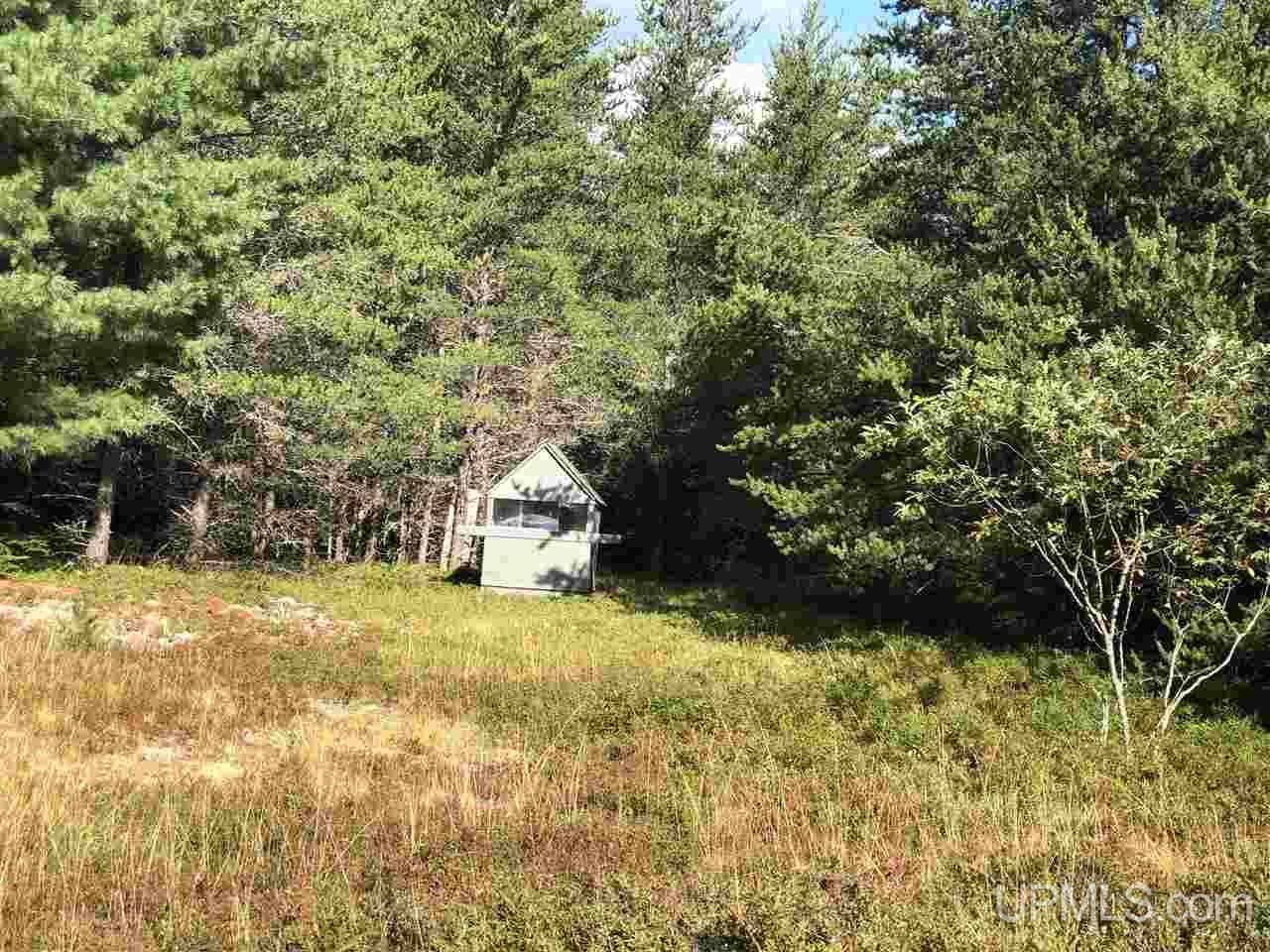 Tbd Off Co Rd 553 Gwinn, MI 49841 - Photo 35 of 45