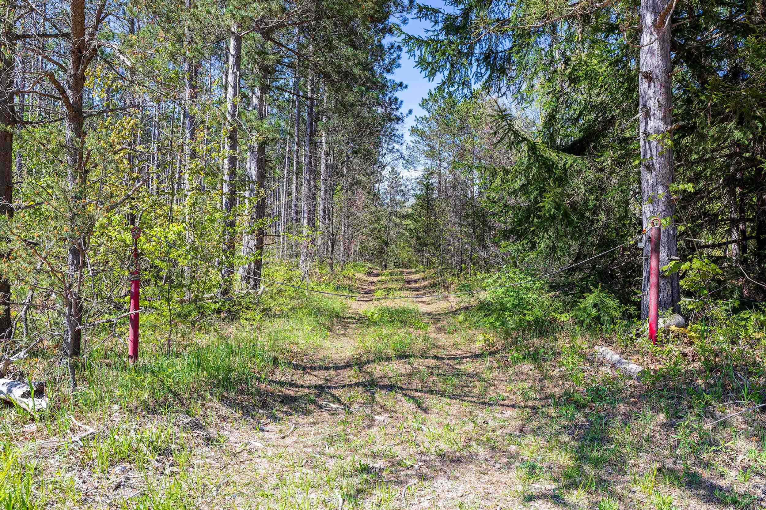 0 Makinen Road Kaleva, MI 49645 - Photo 17 of 25