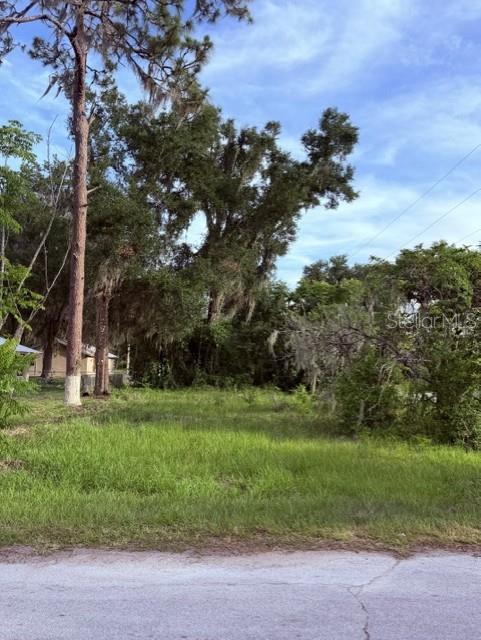 604 Cr Bushnell Bushnell, FL 33513 - Photo 3 of 23
