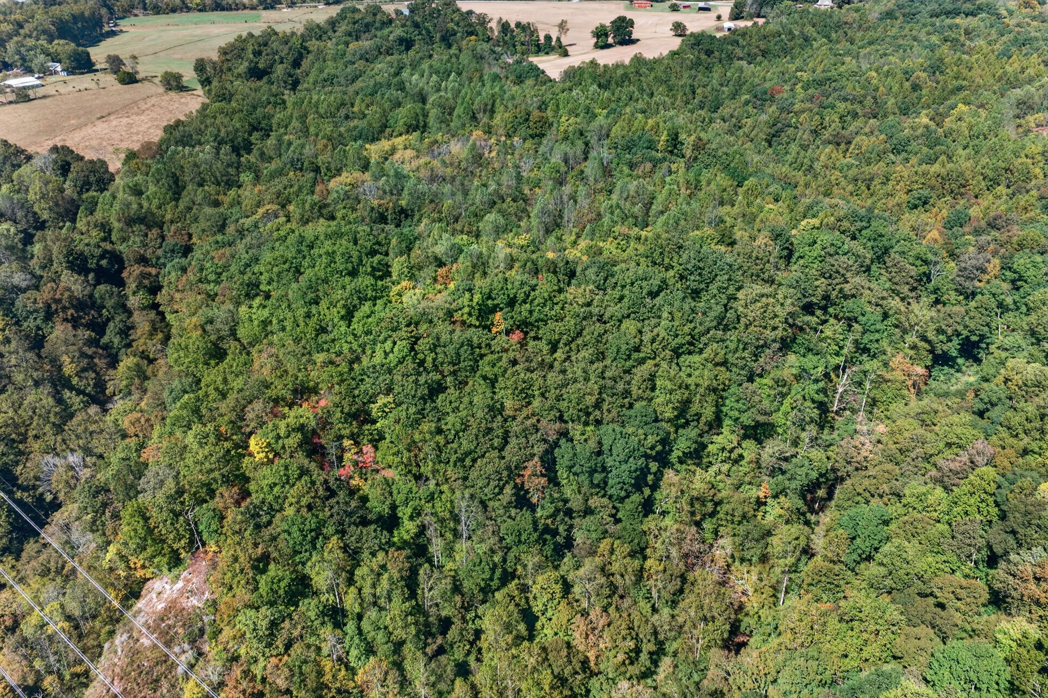 0 Shores Road Silver Point, TN 38582 - Photo 17 of 23 Gallery Image 17