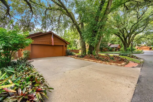 a view of a backyard with plants
