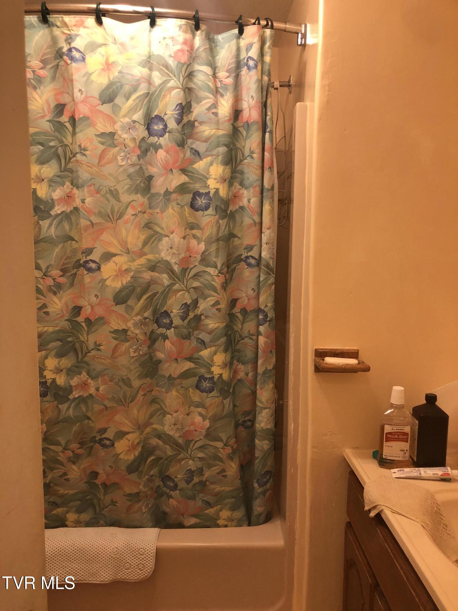 107 Love Blevins Lane Erwin, TN 37650 - Photo 17 of 27 IMG_0793