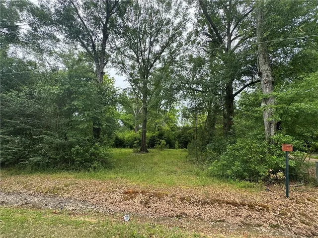 $150,000 | 0 Highway 165, Glenmora, LA 71433