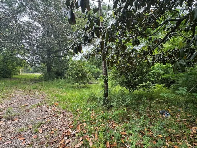 $150,000 | 0 Highway 165, Glenmora, LA 71433