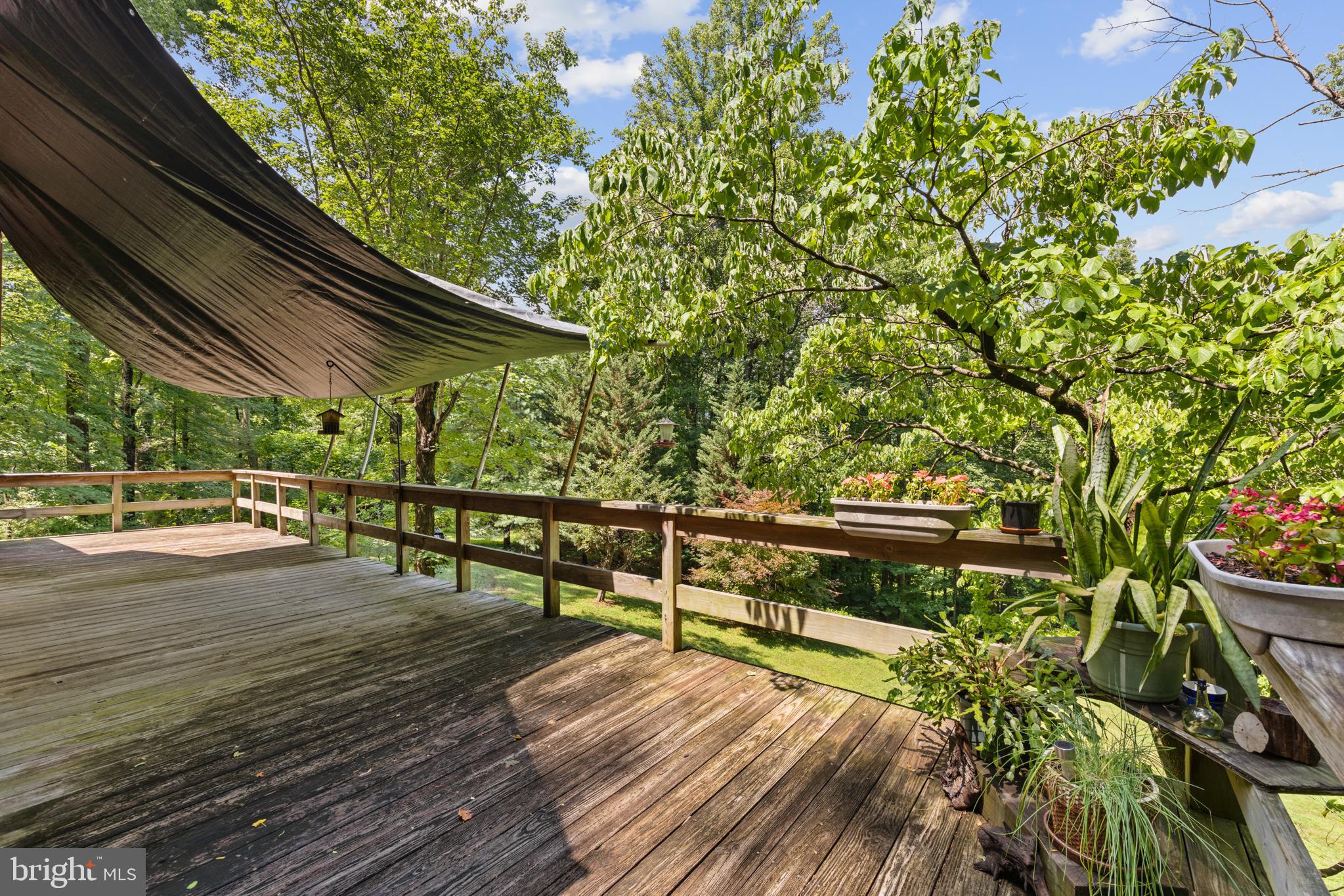 101 Middle River Rdg Road Stanardsville, VA 22973 - Photo 27 of 28