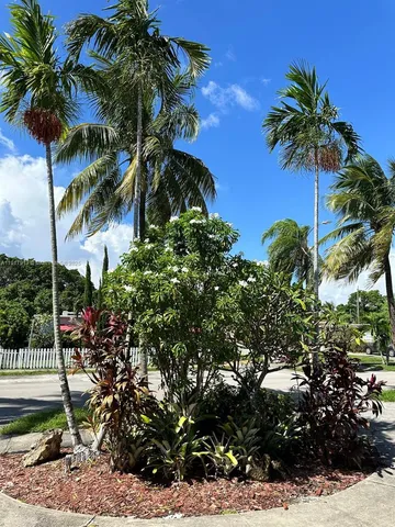 a plant that is in front of a house