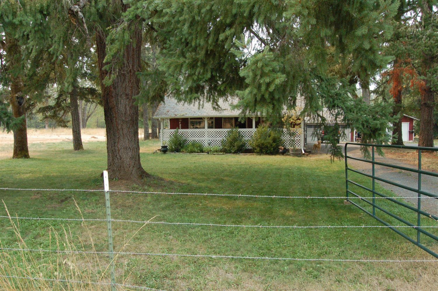 2180 Dick George Road Cave Junction, OR 97523 - Photo 3 of 34 viw of front of home.Looking towards the