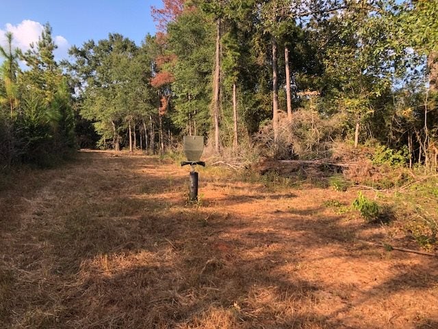 65-ac Straughn School Road Andalusia, AL 36421 - Photo 26 of 47 Gallery Image 26