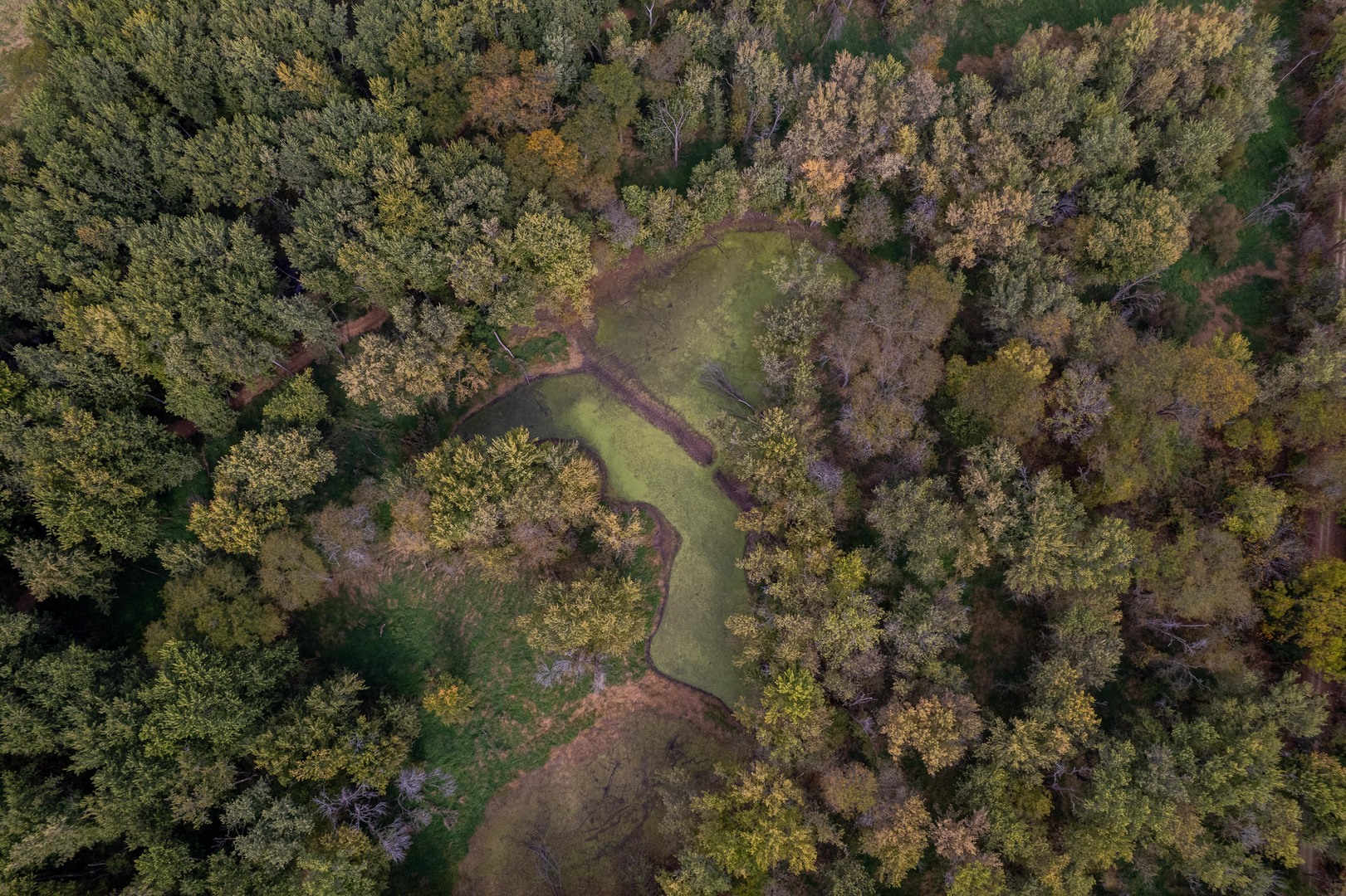 3537-3577 North Iris Hill Road Freeport, IL 61032 - Photo 20 of 60 a view of a forest with a tree