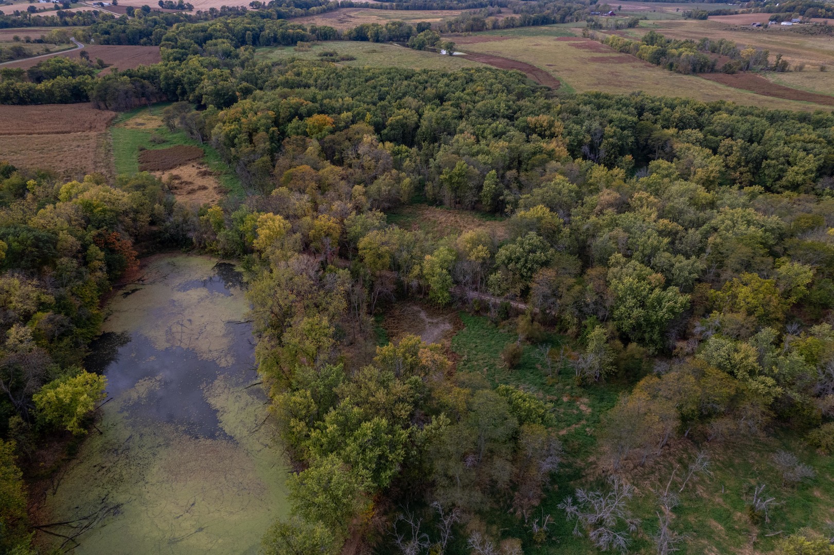 3537-3577 North Iris Hill Road Freeport, IL 61032 - Photo 26 of 60 a view of a forest with a houses