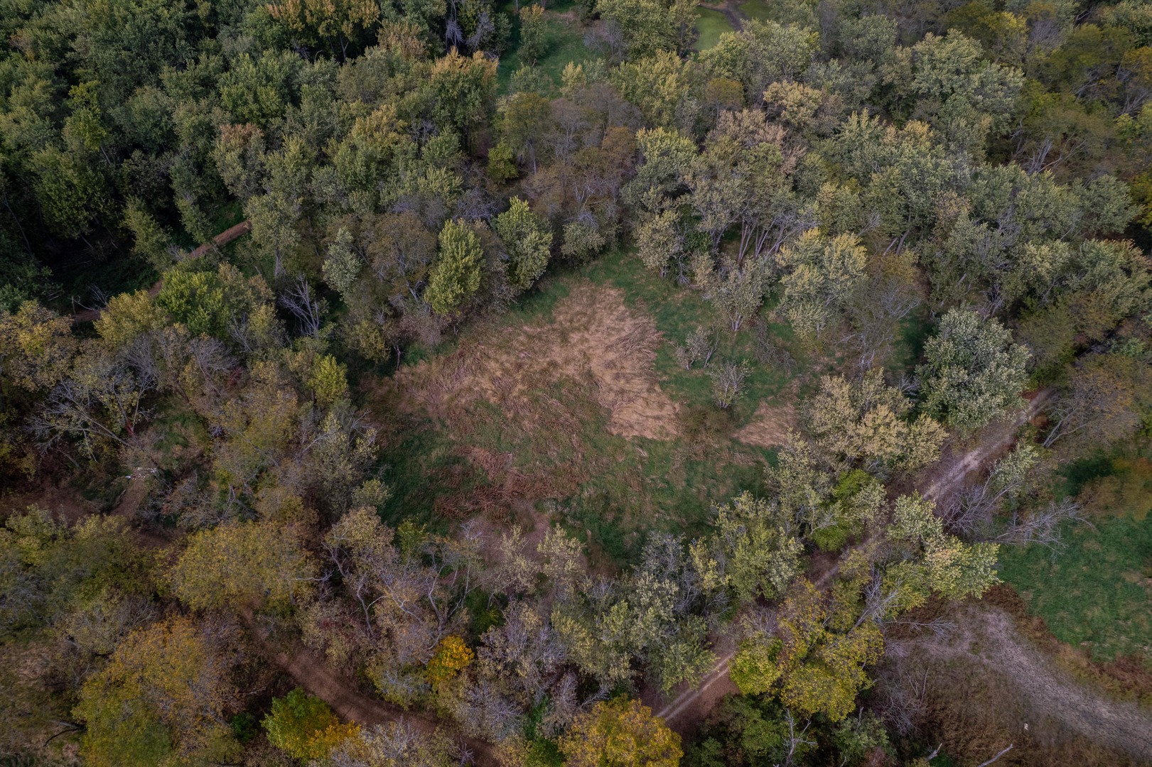 3537-3577 North Iris Hill Road Freeport, IL 61032 - Photo 28 of 60 a view of a forest with lots of trees