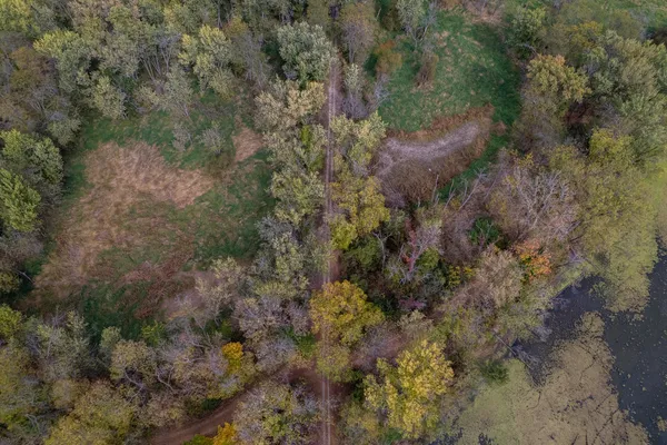 a view of backyard and wooden fence