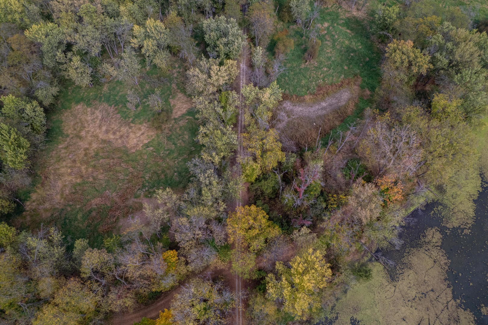3537-3577 North Iris Hill Road Freeport, IL 61032 - Photo 29 of 60 a view of a forest with trees