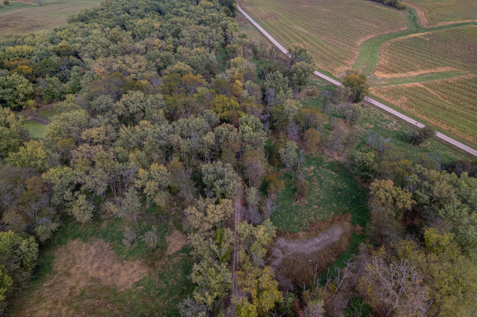 3537-3577 North Iris Hill Road Freeport, IL 61032 - Photo 30 of 60 a view of a forest with a street