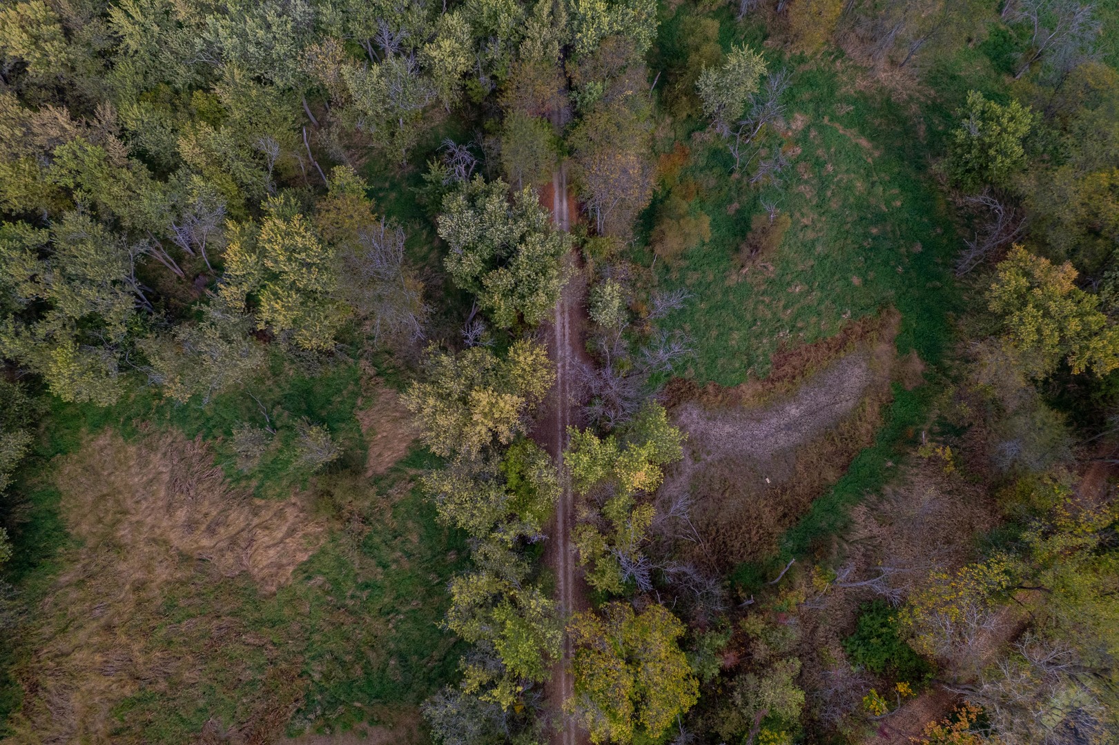 3537-3577 North Iris Hill Road Freeport, IL 61032 - Photo 31 of 60 a view of a forest with a tree