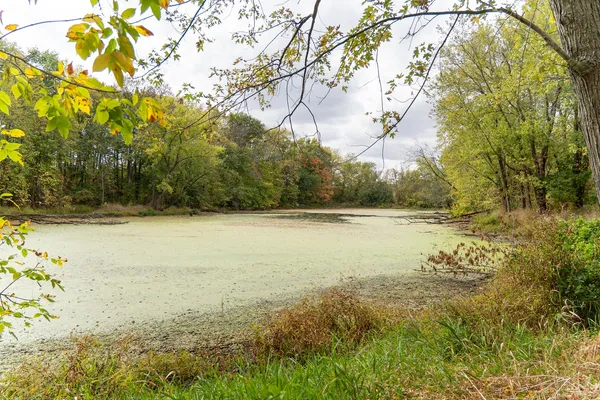 a view of outdoor space with trees