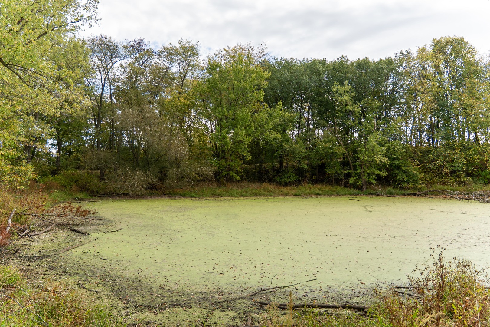 3537-3577 North Iris Hill Road Freeport, IL 61032 - Photo 35 of 60 a view of a yard with an trees